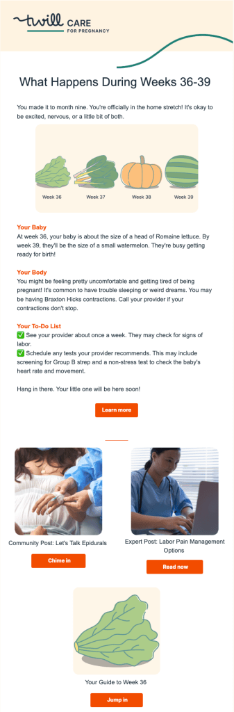 Example email from a health journey for a pregnancy audience